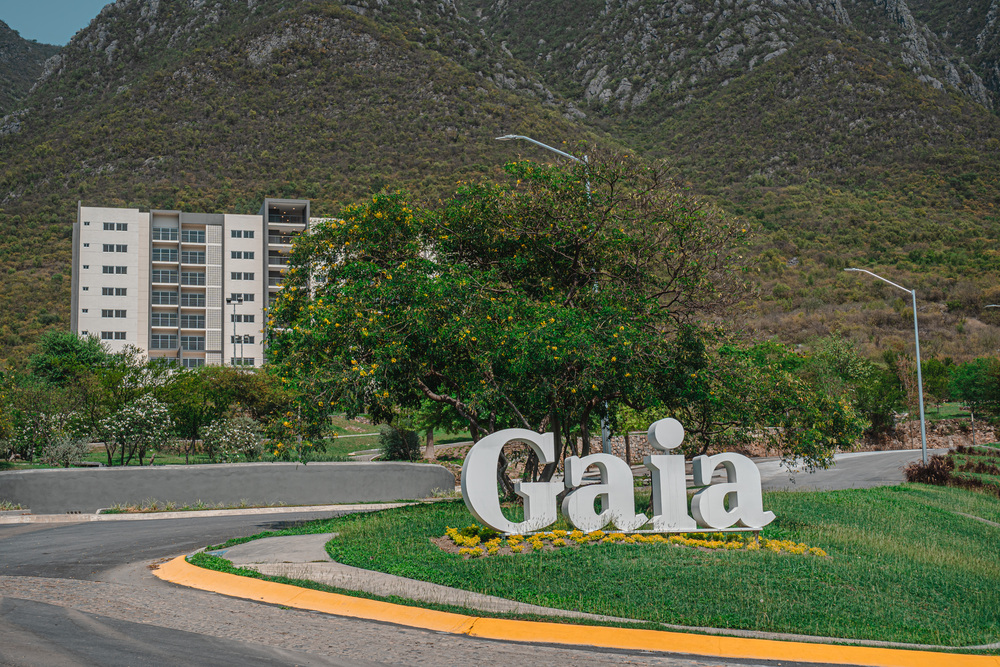 Gaia-New-117